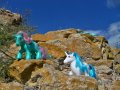 27.7.2011 071.jpg